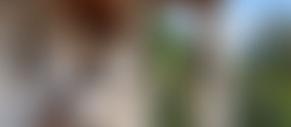 Paradores cierra su mejor verano en los últimos 15 años