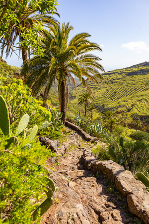 LA GOMERA TURISMO