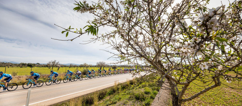 Descubre Mallorca de forma sostenible: 16 rutas de cicloturismo para todos los públicos 