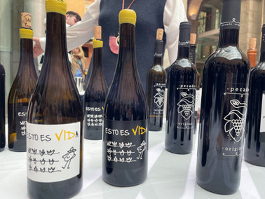 XXIII Salón de Vinos D.O. Madrid