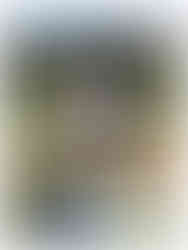 PSTD RIBEIRO-CARBALLIÑO