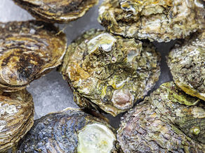 Grupo Oter da comienzo a sus Jornadas Gastronómicas anuales convirtiendo en protagonistas a la ostra y la trufa negra