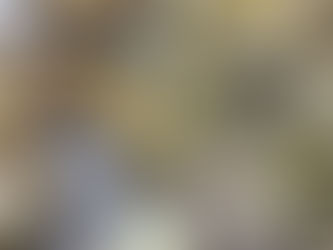 Grupo Oter da comienzo a sus Jornadas Gastronómicas anuales convirtiendo en protagonistas a la ostra y la trufa negra