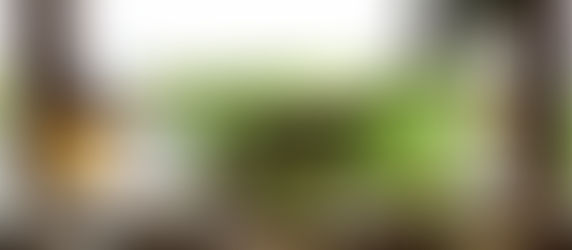 Trocadero Commodore: Un nuevo icono gastronómico en la capital con sabor a mar