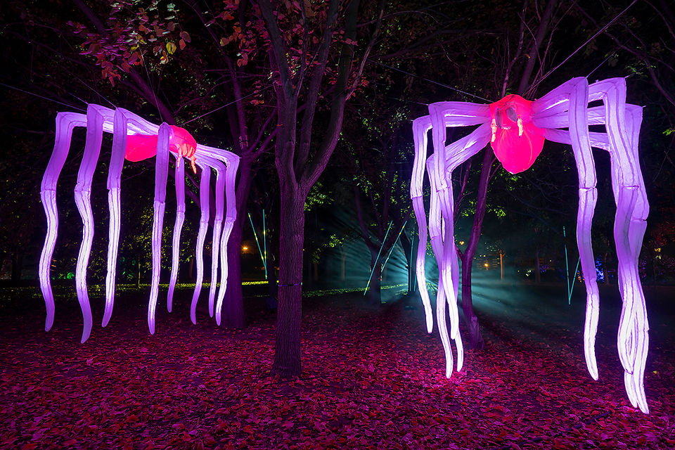 Naturaleza Encendida