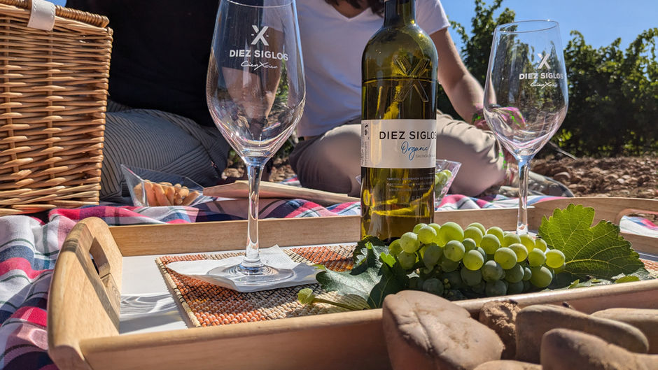 Tomatera, hinojo, higuera, melocotón: el mapa sensorial de la nueva añada 2025 de Diez Siglos redefine la personalidad de los vinos de la D.O. Rueda