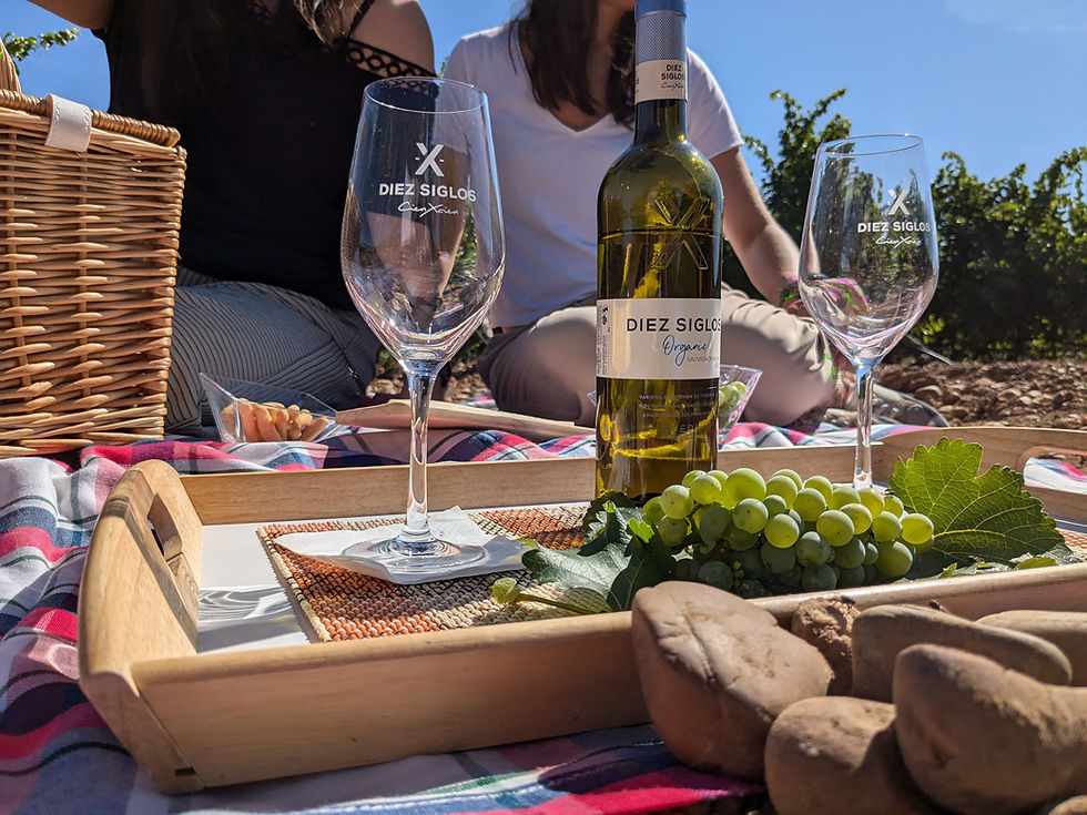 Tomatera, hinojo, higuera, melocotón: el mapa sensorial de la nueva añada 2025 de Diez Siglos redefine la personalidad de los vinos de la D.O. Rueda