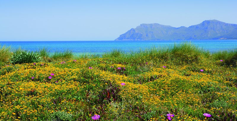 Senderos azules y rutas gastronómicas para descubrir las Islas Baleares