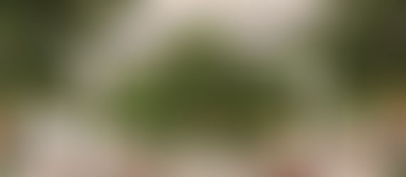 Tarde. O (Rosewood Villa Magna) ofrecerá una experiencia única para descubrir un pedacito de México