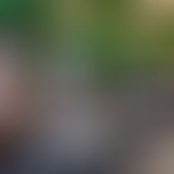 Este San Valentín, un anillo puede aparecer en el postre...