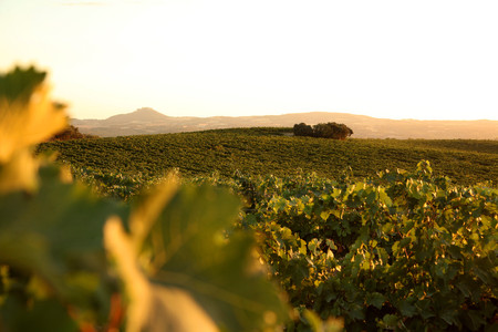 Red de Caminos Naturales de España