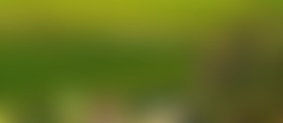 Xacobeo en las Rutas del Vino de España