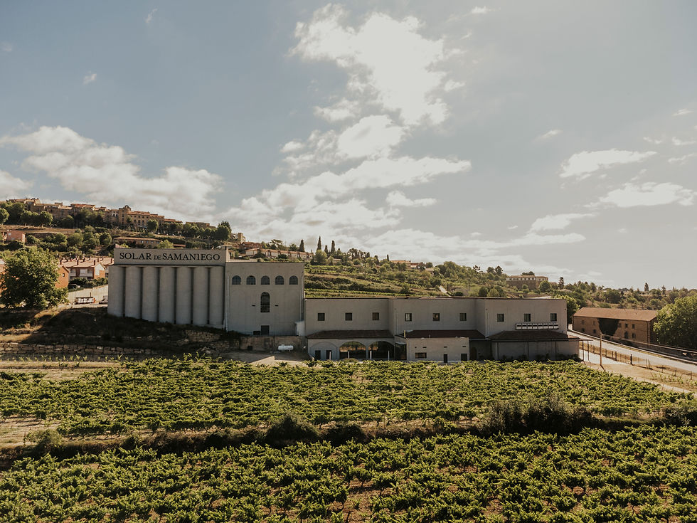 Bodegas Solar de Samaniego