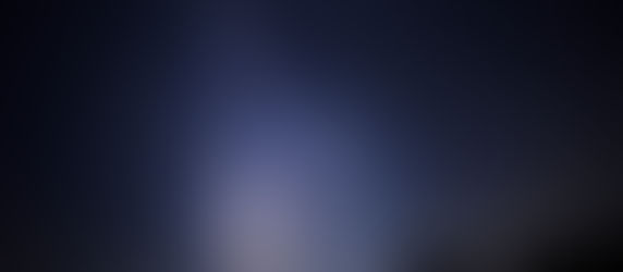 Lo último en astroturismo en Japón: observar las estrellas desde lo alto de la copa de un árbol