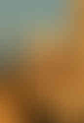 Cáceres, 40 años Patrimonio de la Humanidad: