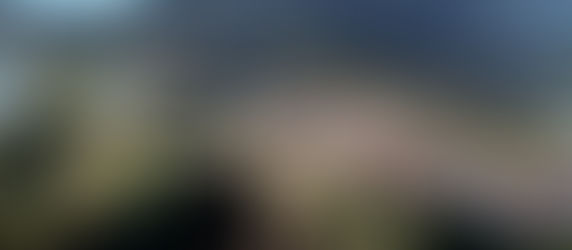 ¿Vienes a Valencia?