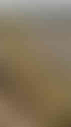 Ruta del Vino Somontano,