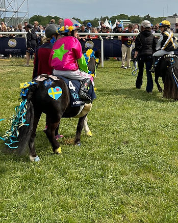 Highly-decorated pomnies.jpg