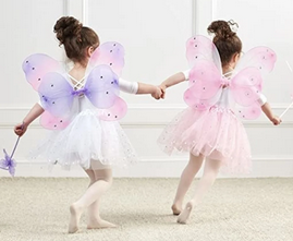 Tutu Wing Wand Set