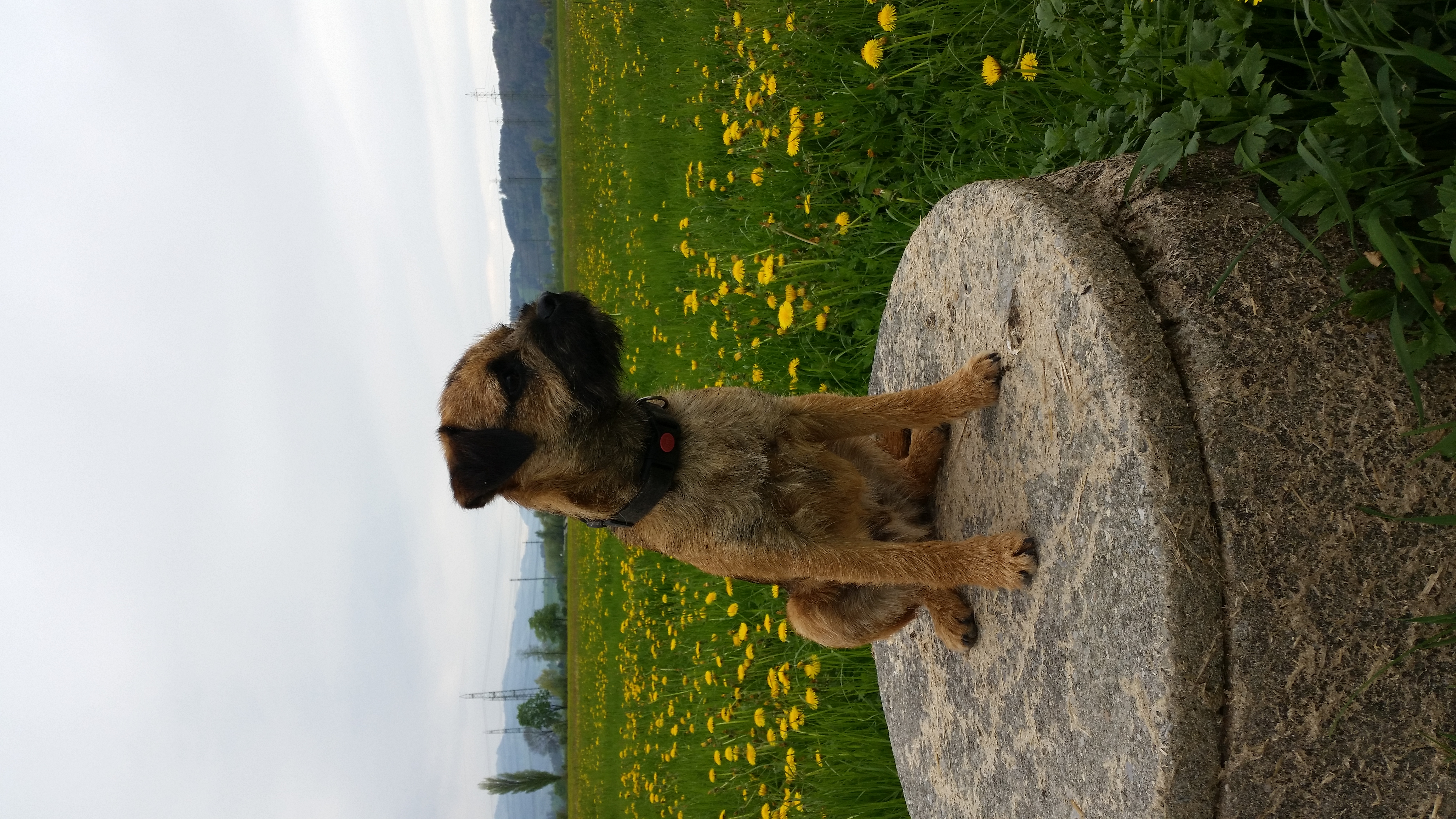 Hutch