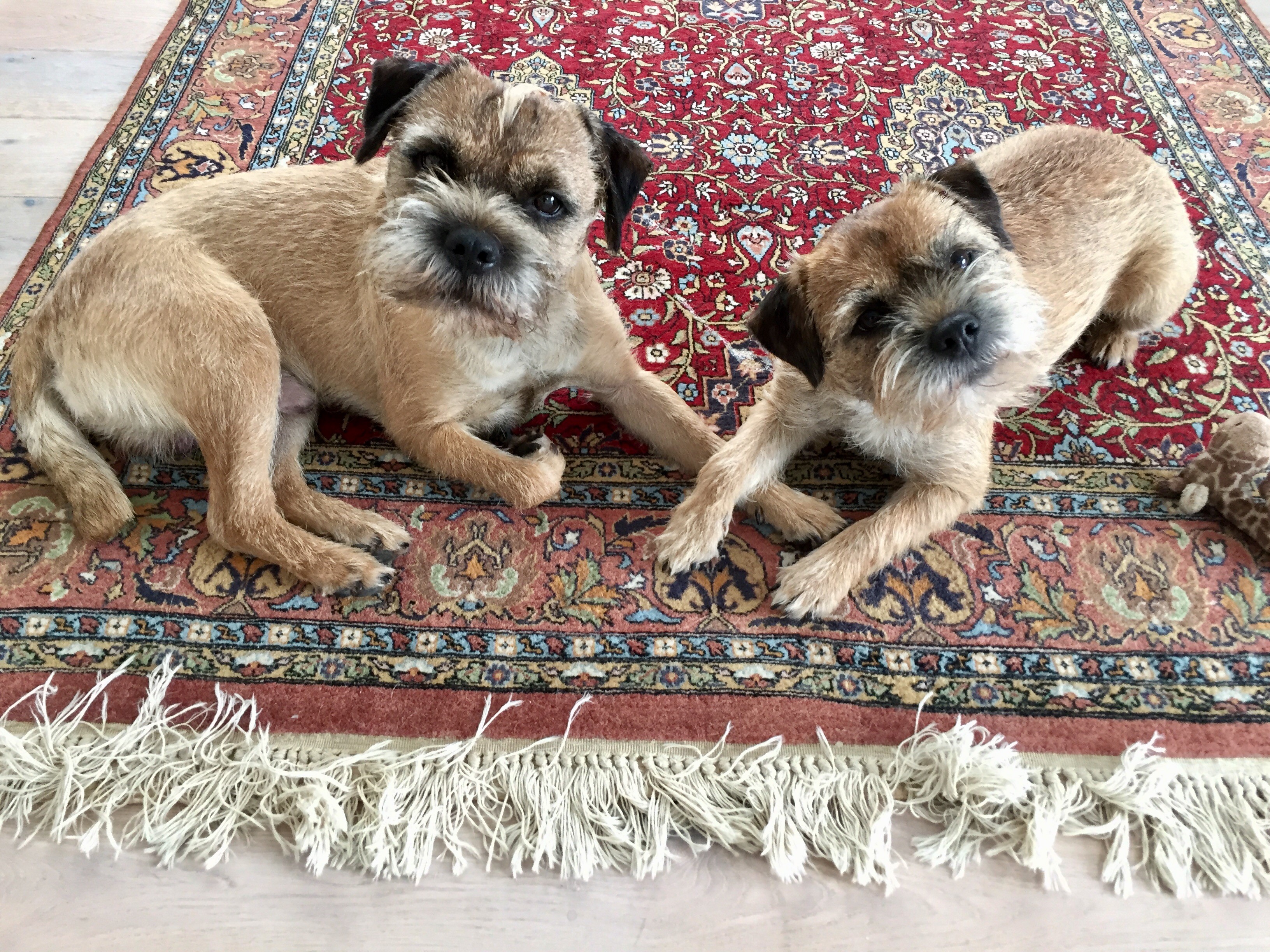 Nougat & Jamié