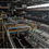 Thumbnail: IMT2735 - Hot Strip Mill 1650 mm & Electric Arc Furnace x2 160 ton