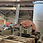 Thumbnail: IMT2703 - Rebar Mill 300K TPY