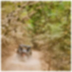 Hatfield McCoy trails