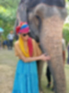 ELEPHANTSS.jpg