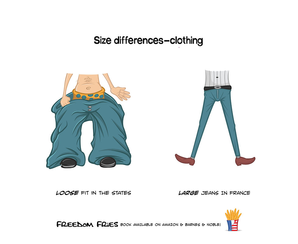 Thumbnail: Freedom Fries: Musings on French and American Culture -  comic e-book
