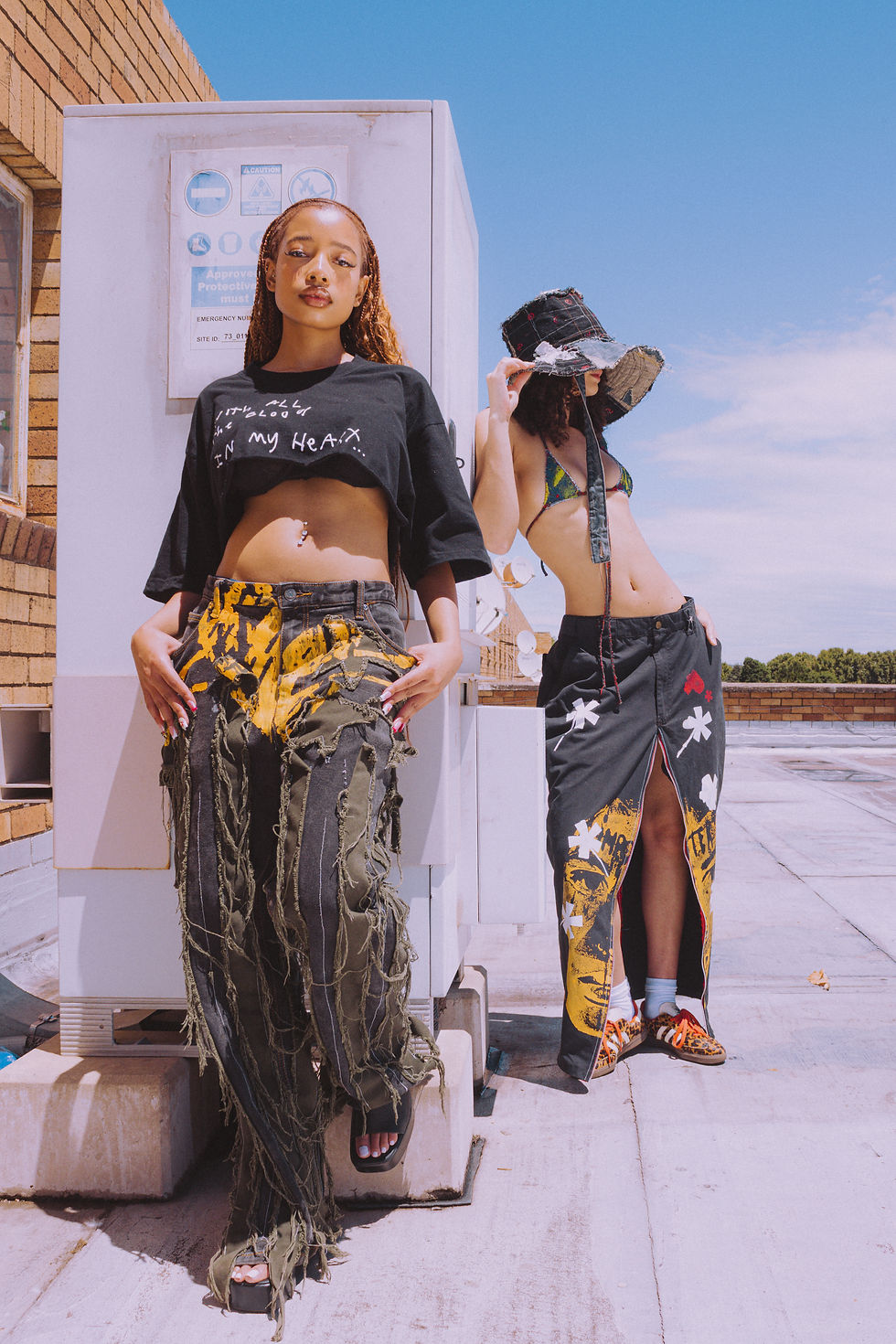 Gemin(eye) - Public Domain 01