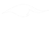 Gemin(eye) Eye Logo