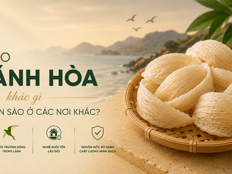 Yến sào Khánh Hòa khác gì so với yến sào ở các nơi khác