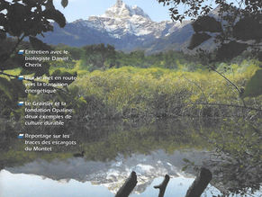 La Laine Crée Le Lien - Nov. 2020