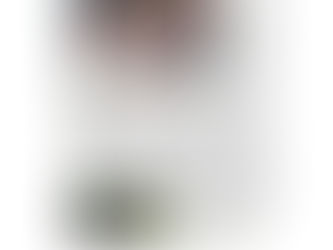 Terre d'Elle: Remettre sur pied la filière de la laine