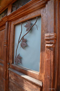 porte et feuilles de vigne