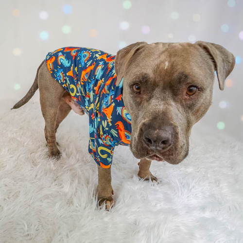 Rainbow Dinos Pitbull Pride Shirt 