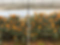 IMG_7148.jpeg