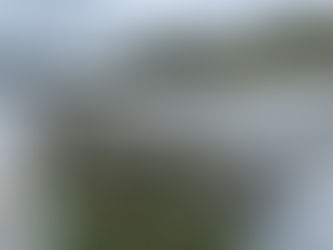 強風でびわハウスのビニールが剥がれた・・・