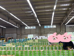 4月!びわシーズン!!