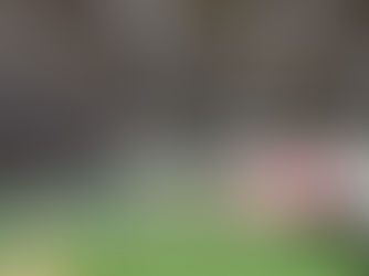 ４月！びわシーズン！！