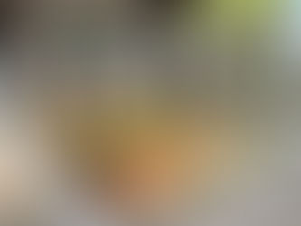 連日びわの収穫！さすがに疲労が・・・