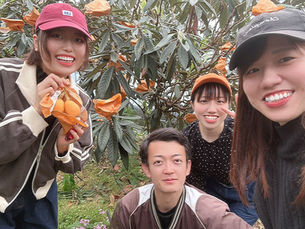 びわ狩り４日目！