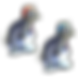 d_curling_seals_ice.png