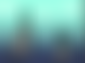 Gender Pay Gap, and its Effect