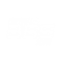 Football Scout 365 Logo
