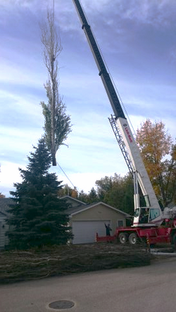 2015-09-30 07.54.59_edited