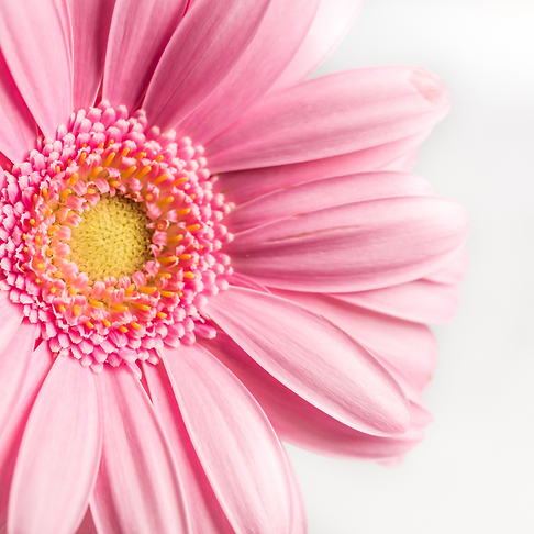 Untitled design (1).png