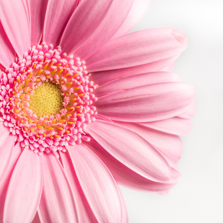 Untitled design (1).png