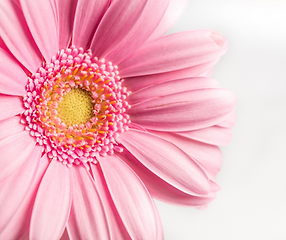 Untitled design (3).png